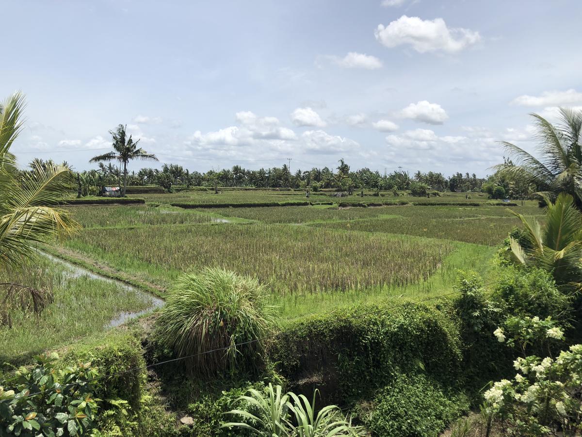 Hacco Capsule Hotel Ubud Extérieur photo